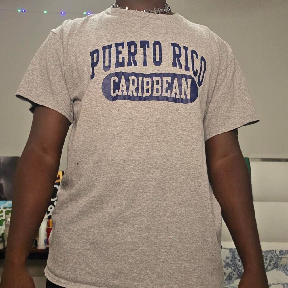 Gap Men's Gray Puerto Rico Caribbean Graphic Tee